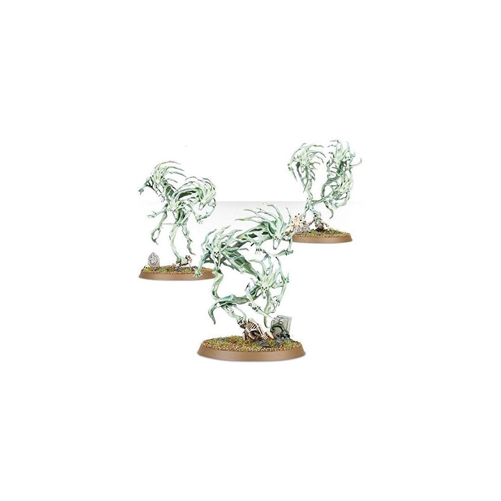 Games Workshop Warhammer Age of Sigmar Nighthaunt Spirit Hosts