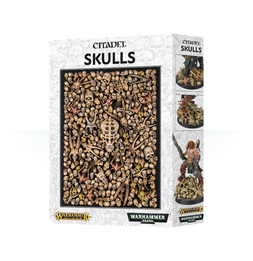 Warhammer Fantasy / Age of Sigmar / 40k Citadel Skulls