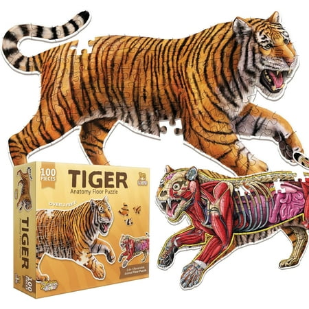 Tiger Animal Anatomy Floor Puzzle | 100-Piece Double Sided Jigsaw Puzzle | Large-Sized Over 3 FT - Scientifically Accurate Illustration